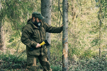 Brutal bearded man chopping woodの写真素材