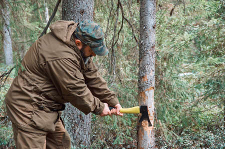 Brutal bearded man chopping woodの写真素材
