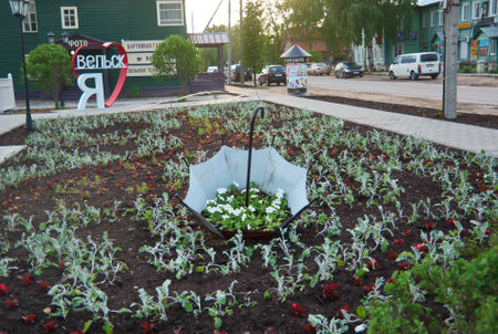 city  Velsk. Arhangelsk region. Russia.Architectural street decorationsのeditorial素材