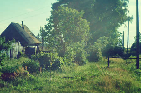 Belarusian Country village house in sunny dayの写真素材