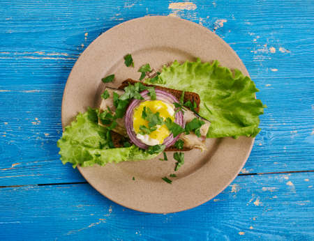 Sol over Gudhjem - Danish dish, an open sandwich with rugbrod, smoked herring, chives and a raw egg yolk, Danish cuisineの写真素材