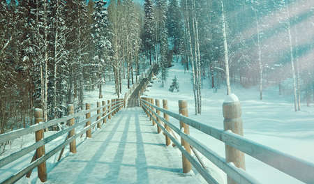 Russian Traditional wooden gangway , Malye Karely village, Arkhangelsk region, Russiaの写真素材