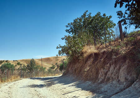 Jalal-Abad Region, Kyrgyzstan.
