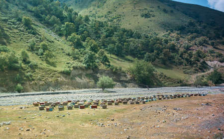 Mountain road district of Jalal-Abad Region in western Kyrgyzstan.Mountain apiary