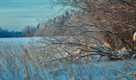 Winter  Beautiful Christmas landscape,  coast of frozen and snowy lake