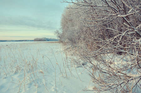 Winter  Beautiful Christmas landscape,  coast of frozen and snowy lake