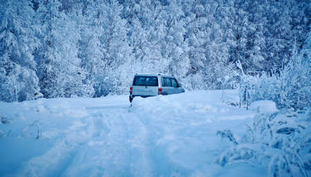 Beautiful Christmas landscape, Against the sunset sky,  Snow covered tree branchesの写真素材