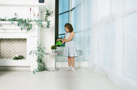 Little Caucasian girl watering plants in her houseの写真素材