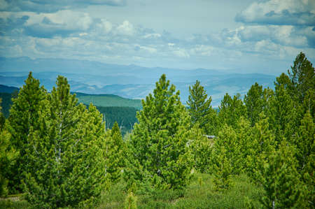 Ulagansky pass, Altai  Mountain