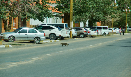 Khovd city,  capital of the Khovd Province of Mongolia, city ââcenter, June 17, 2019のeditorial素材