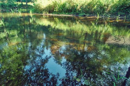 Forest river, Blue Lakes, Myadel District. Belarus