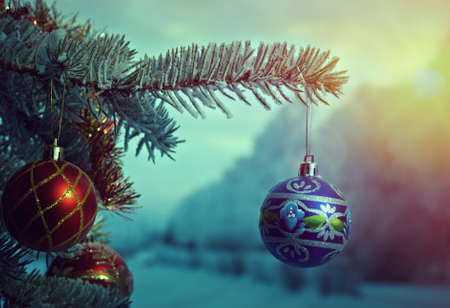 bright Christmas bauble from a snow covered Christmas Tree Branchの写真素材