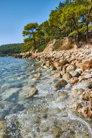 Ragout d'igname - pound beef stew meat popular in most West African countries Burkina Fasoの写真素材