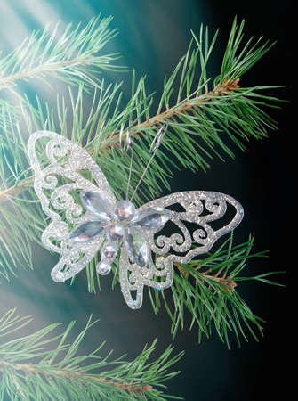 coniferous branch on dark background with toy cristmasの写真素材