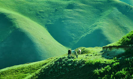 Rver valleys Gulcha , Pamir Highway, Kyrgyzstan, Central Asiaの写真素材
