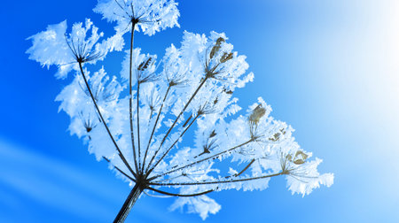 Crystal snow-flowers against the blue sky. Winter wonder of nature crystals of frost.Winter scene...