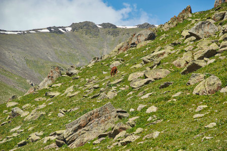 Suusamyr Valley ,Taldyk Pass Mountain landscape. Kyrgyzstan.の写真素材