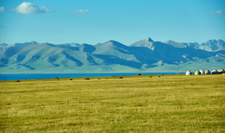son kul mountain lake in kyrgyzstan is located at an altitude of over 3000 metersの写真素材