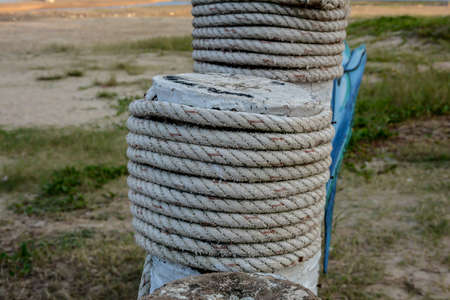 Close-up of rope knot at  stumpの写真素材