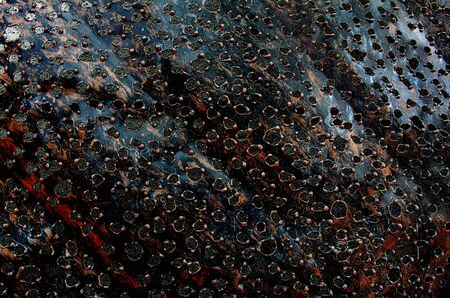De-focused, Rusty metal texture with holes,color filterの写真素材