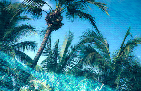 HDR tone effect of beautiful scenery from reflection of the coconut trees beside a pool of water. With tile of the pool under waterの写真素材