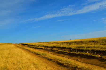 Autumn steppeの写真素材