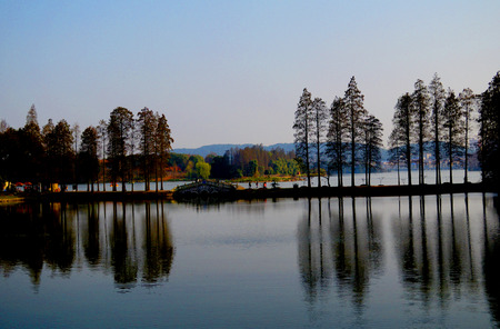 lake view in springの写真素材