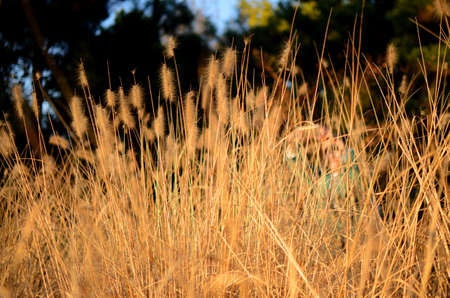 Closeup of grassの写真素材