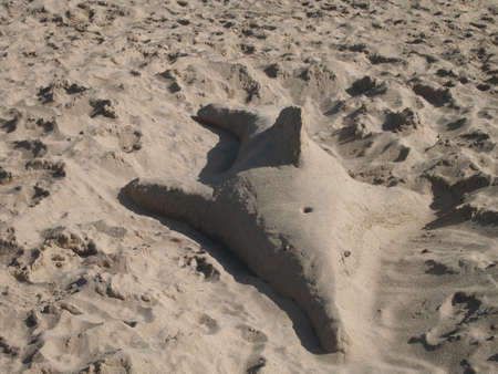 A nice dolphin, made of sandの写真素材