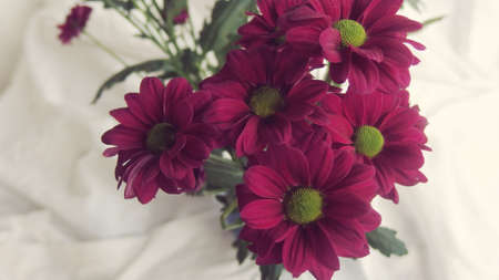 Pink Bridal Flowers bunch background imageの写真素材