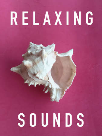 RELAXING SOUNDS Illustration Seashell with Words over Pink Background