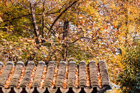 Suzhou Ping Shan autumn scenery with red maple leaf