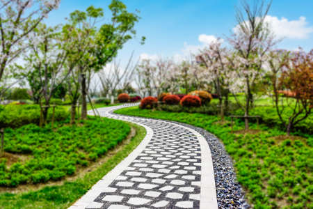 Curved stone path in the parkの写真素材