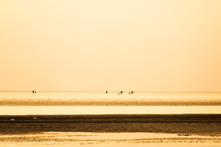 Seaside beach scenery