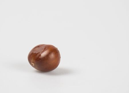 Close up of chestnut against white background.