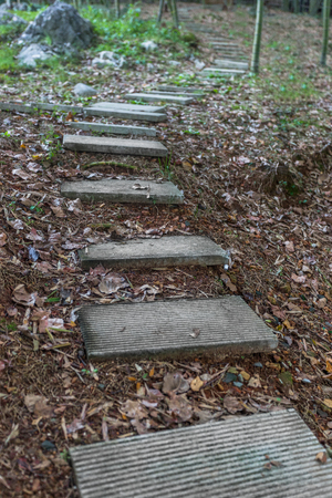 view of Yixing natural park in Jiangsu,China.の写真素材