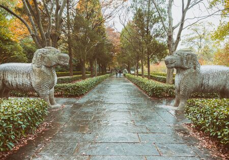 Footpath By Statues At Ming Xiaoling Mausoleum in China.の写真素材