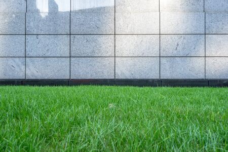 Empty green field in urban central.の写真素材