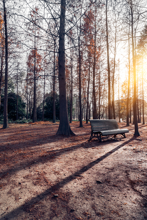 Bench in a park on sunny day in city of China.の写真素材