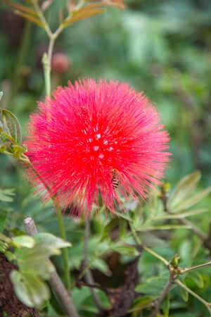 Spring Weather Arrives in city of China.の写真素材