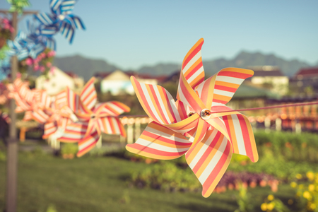 groups of flower-shape Pinwheels against sunbeams in park,China.の写真素材