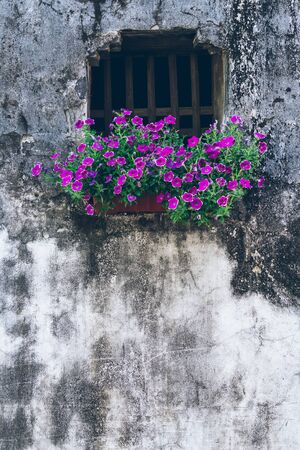 detail shot of stone wall in an old traditional village of China.の写真素材