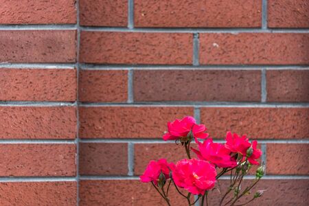 Corner Of Brick Wall from a vintage building.の写真素材