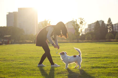 Dog and hostess, park backgroundの写真素材