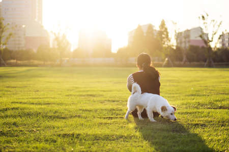 Dog and hostess, park backgroundの写真素材