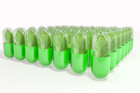 3d rendering, green capsule with leaf in it, Health topics conceptの写真素材