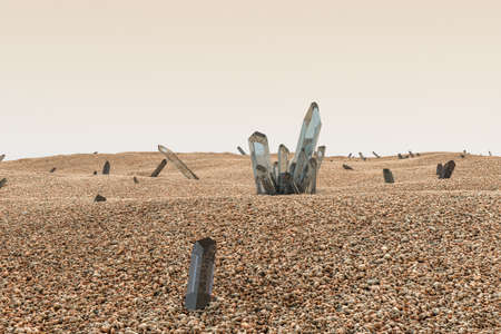 A cluster of magic crystal gather together in the desert, 3d rendering.の写真素材