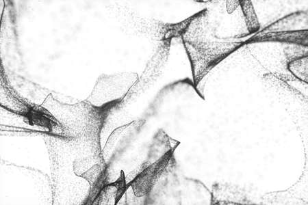 Particles moving on white background, 3d rendering. Computer digital drawing.