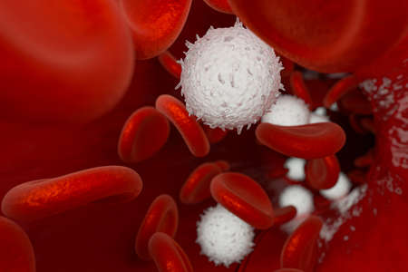 Red and white blood cells in the blood vessel, 3d rendering. Computer digital drawing.