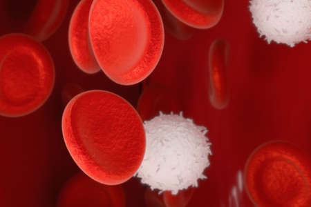 Red and white blood cells in the blood vessel, 3d rendering. Computer digital drawing.の写真素材